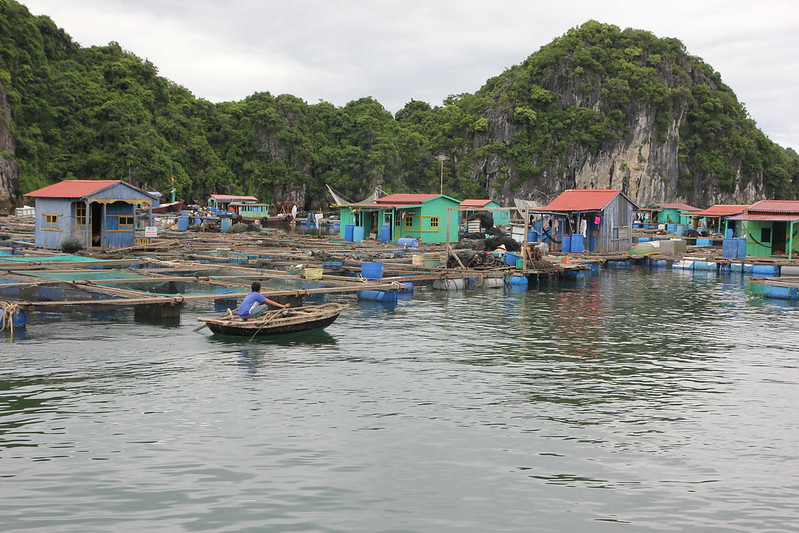 Ba Hang fishing village