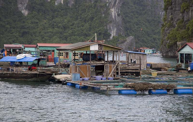 Cai Beo fishing village