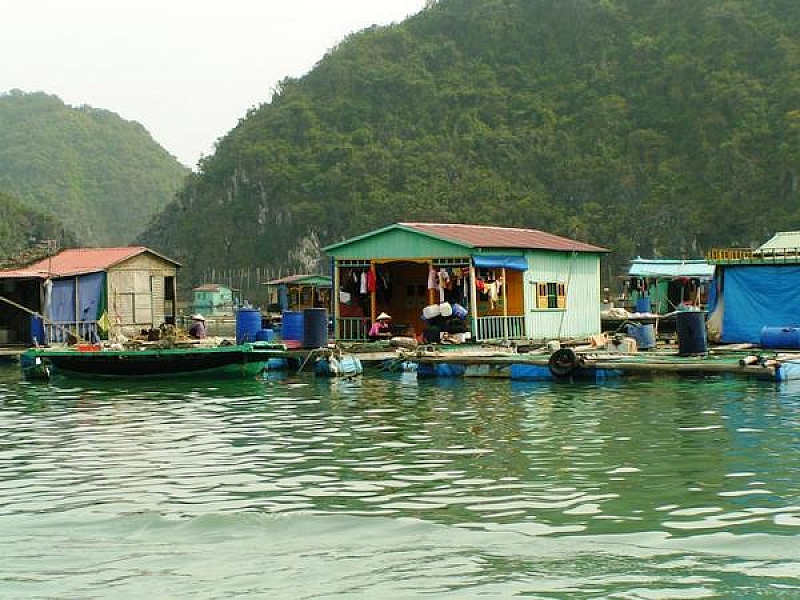 Halong bay and Cat Ba island