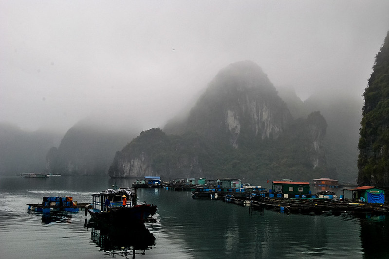 Halong bay in winter