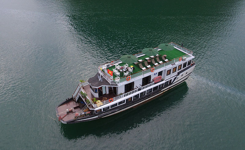 White Dolphin Cruise
