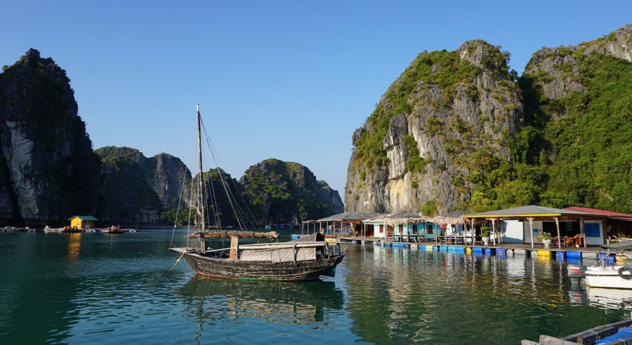 Calypso Cruise - Halong Bay