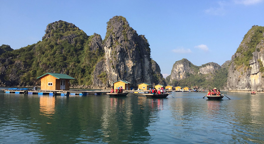 Halong bay 3 days 2 nights