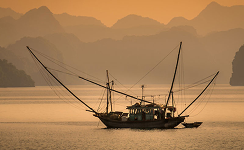 2-Day Tour From Hanoi to Quan Lan Island