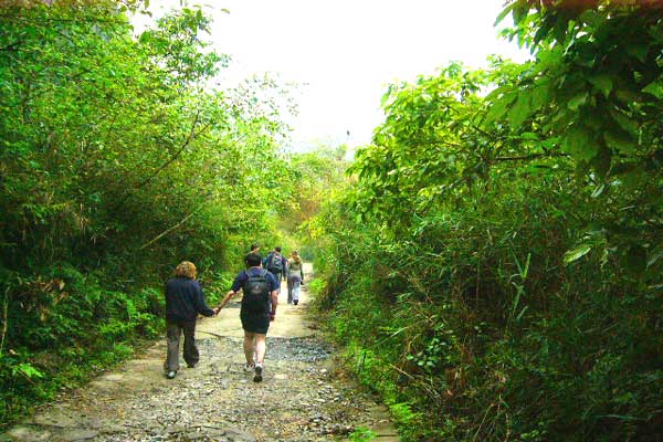 Cat Ba island